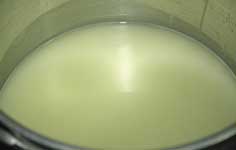 The whey